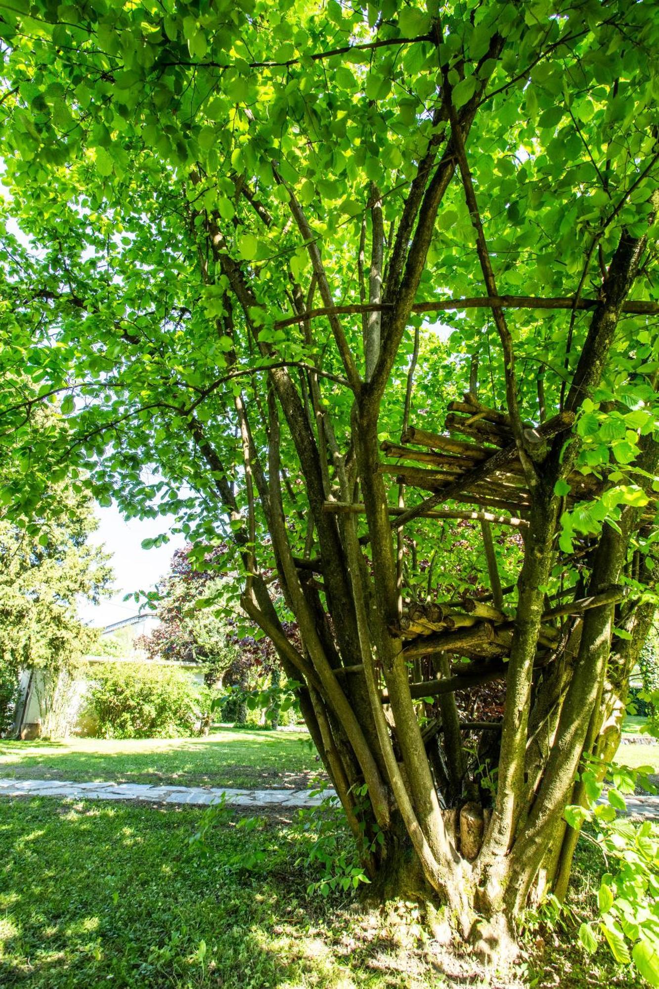 Pipa's Place - Stylish Garden Prime Location